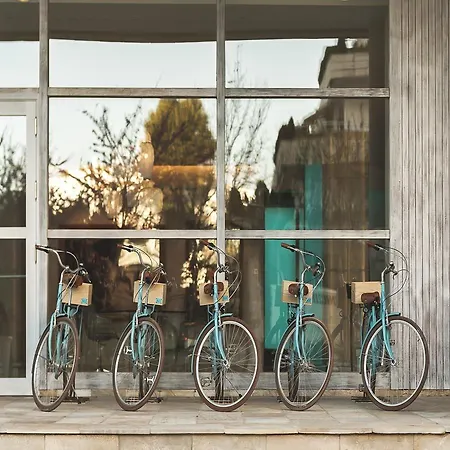 Amàre - Adults Only Recommended